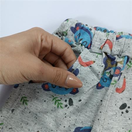 تیشرت شلوارک کوآلا و اسب آبی