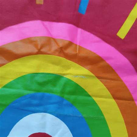 کراپ شلوارک رنگی Rain bow تکسایز