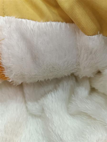 کاپشن تدی apodelo bear