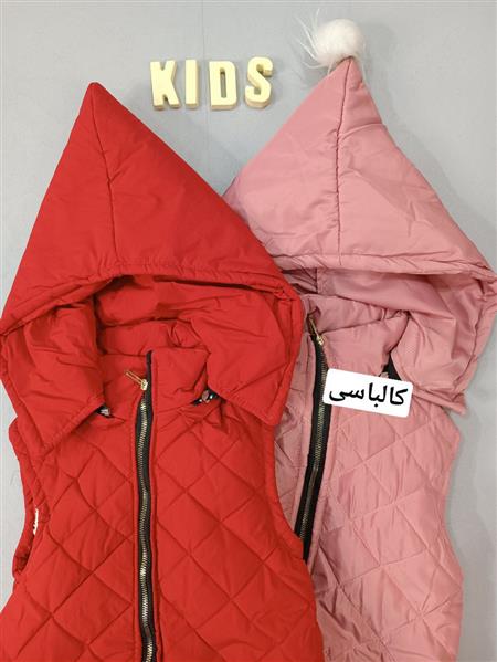 پافر رنگارنگ لوزی