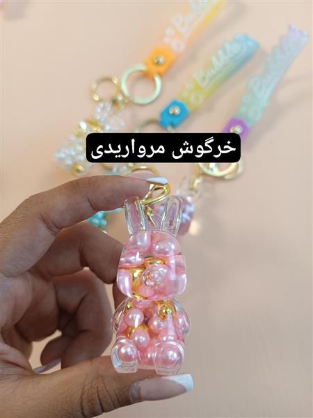 جاکلیدی آکواریومی